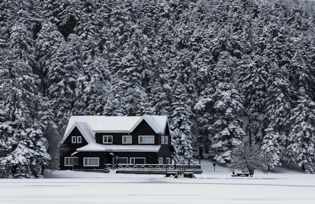 White House with Black Trim